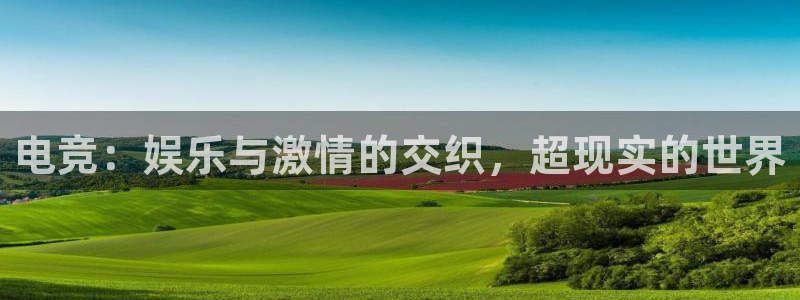 乐鱼电竞平台：电竞：娱乐与激情的交织，超现实的世界