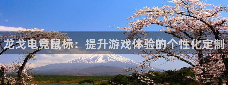 乐鱼电竞平台：龙戈电竞鼠标：提升游戏体验的个性化定制